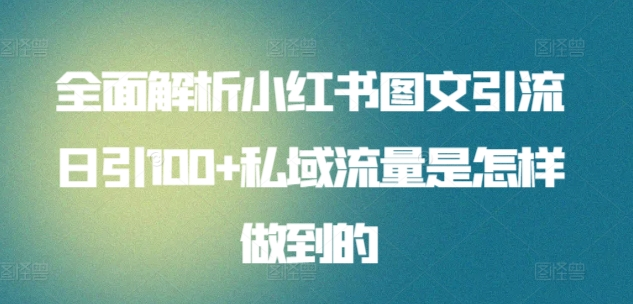 全面解析小红书图文引流日引100私域流量是怎样做到的网赚项目-副业赚钱-互联网创业-资源整合小白项目资源网