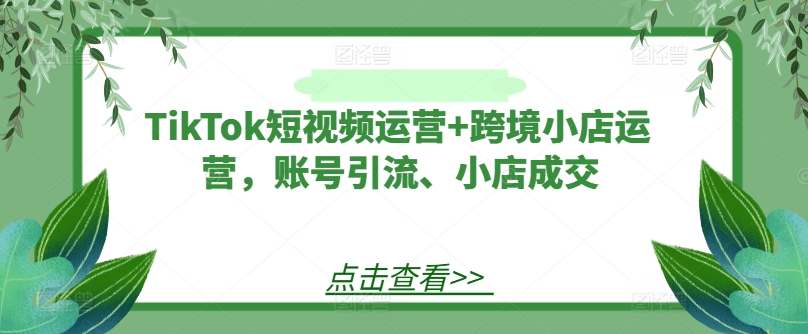 TikTok短视频运营+跨境小店运营，账号引流、小店成交网赚项目-副业赚钱-互联网创业-资源整合小白项目资源网