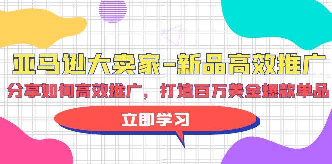 亚马逊 大卖家-新品高效推广，分享如何高效推广，打造百万美金爆款单品网赚项目-副业赚钱-互联网创业-资源整合小白项目资源网