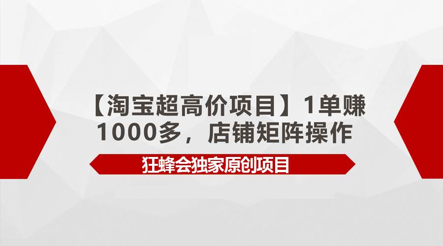 【淘宝超高价项目】1单赚1000多，店铺矩阵操作网赚项目-副业赚钱-互联网创业-资源整合小白项目资源网