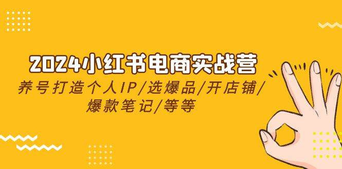 2024小红书电商实战营，养号打造IP/选爆品/开店铺/爆款笔记/等等（24节）网赚项目-副业赚钱-互联网创业-资源整合小白项目资源网