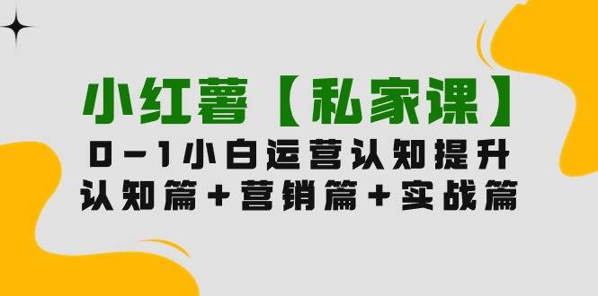 小红薯【私家课】0-1玩赚小红书内容营销，认知篇+营销篇+实战篇（11节课）网赚项目-副业赚钱-互联网创业-资源整合小白项目资源网